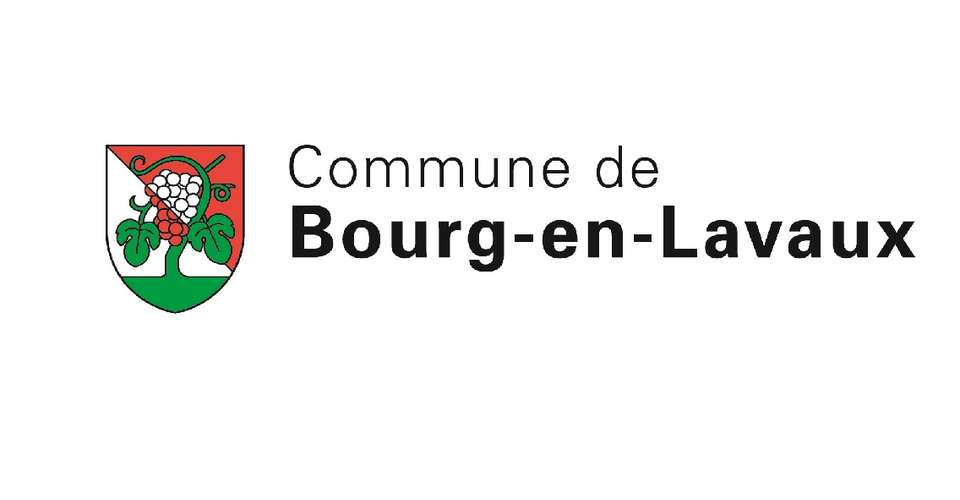 BEL_LOGO_Couleur - internet