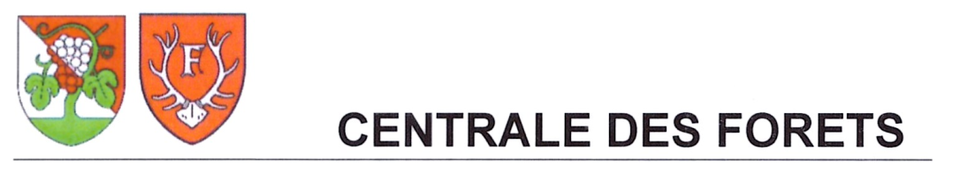 Centrale des Forêts
