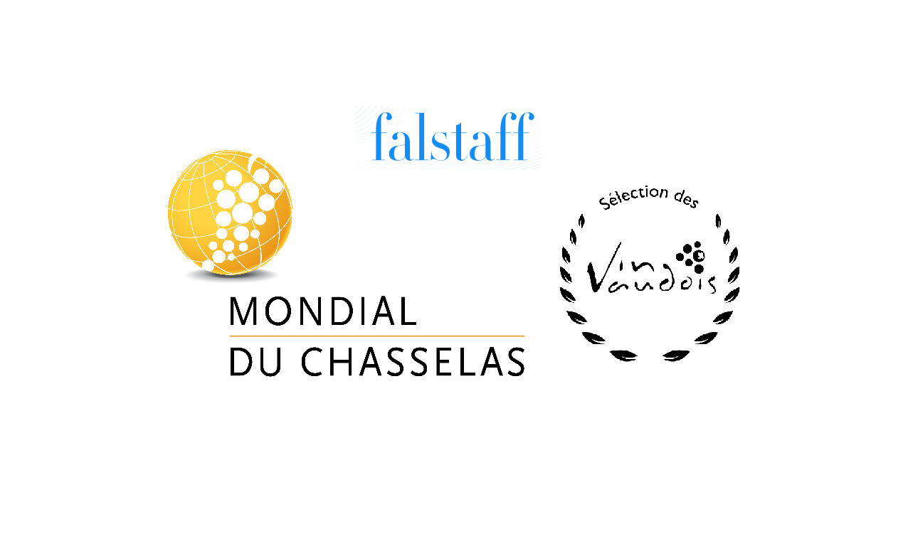 Mondial__Vin_Vaudois_falstaff_centre_25.original